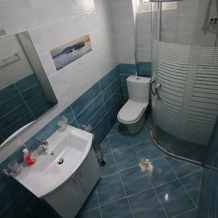 Vila Bregu Guest house *