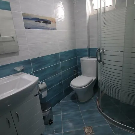 Guest house Vila Bregu *